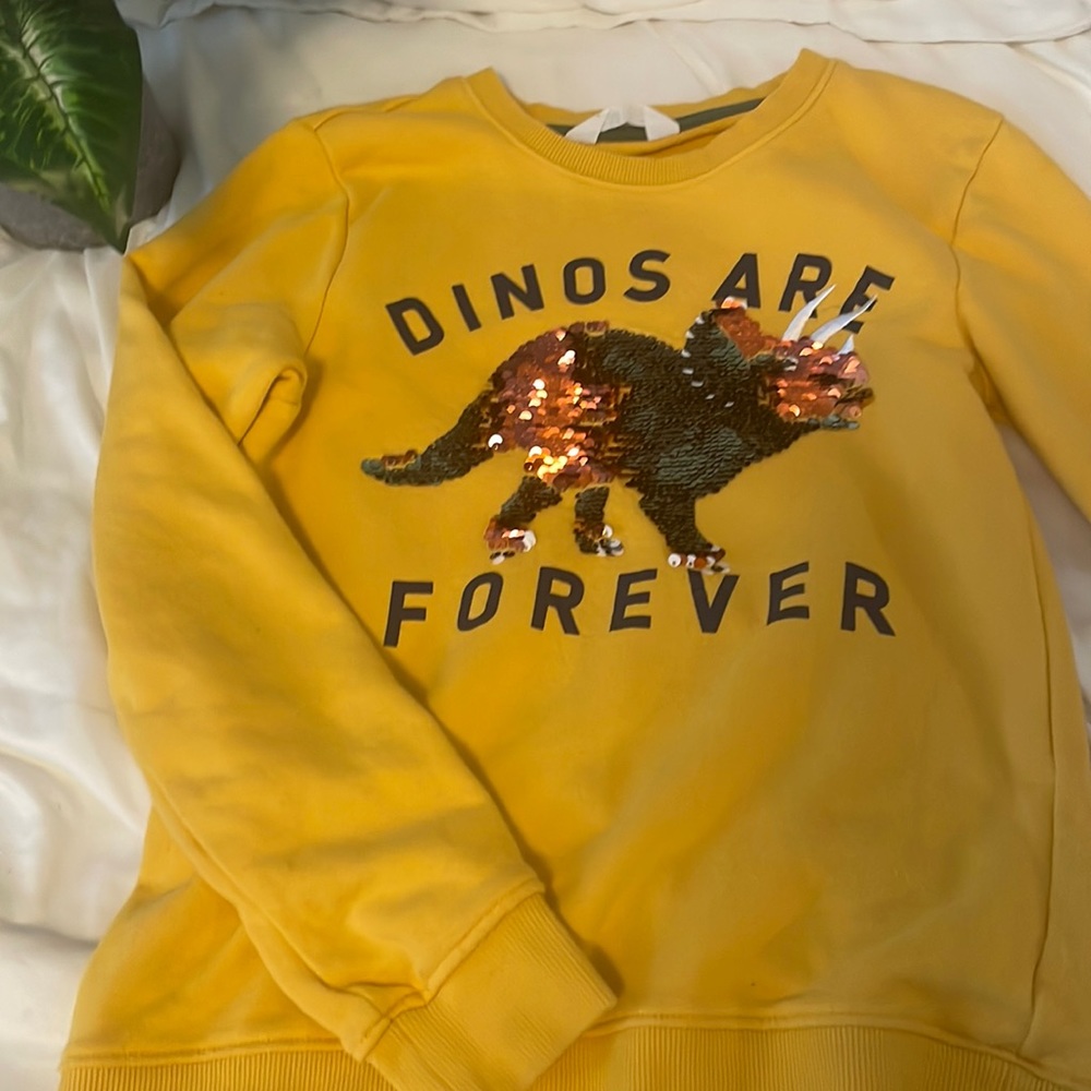 H&M kids long sleeve  dinosaur sweater